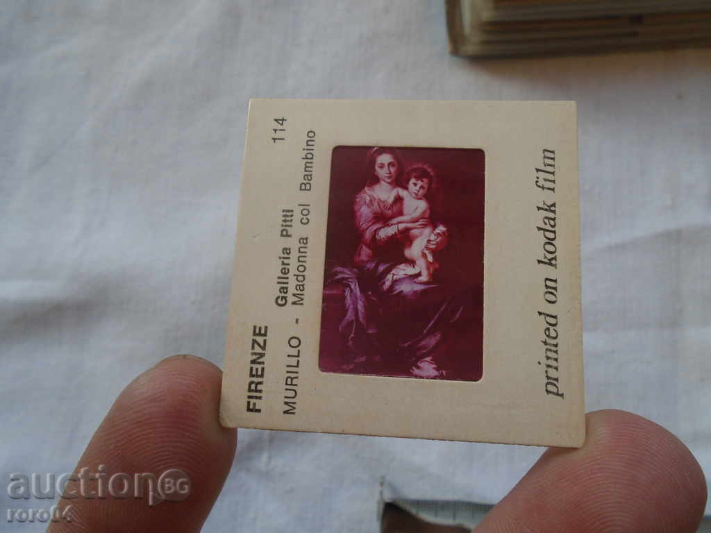 150 DIAPOSITES WITH FLOWER MUSEUM'S MUSEUMS - 7