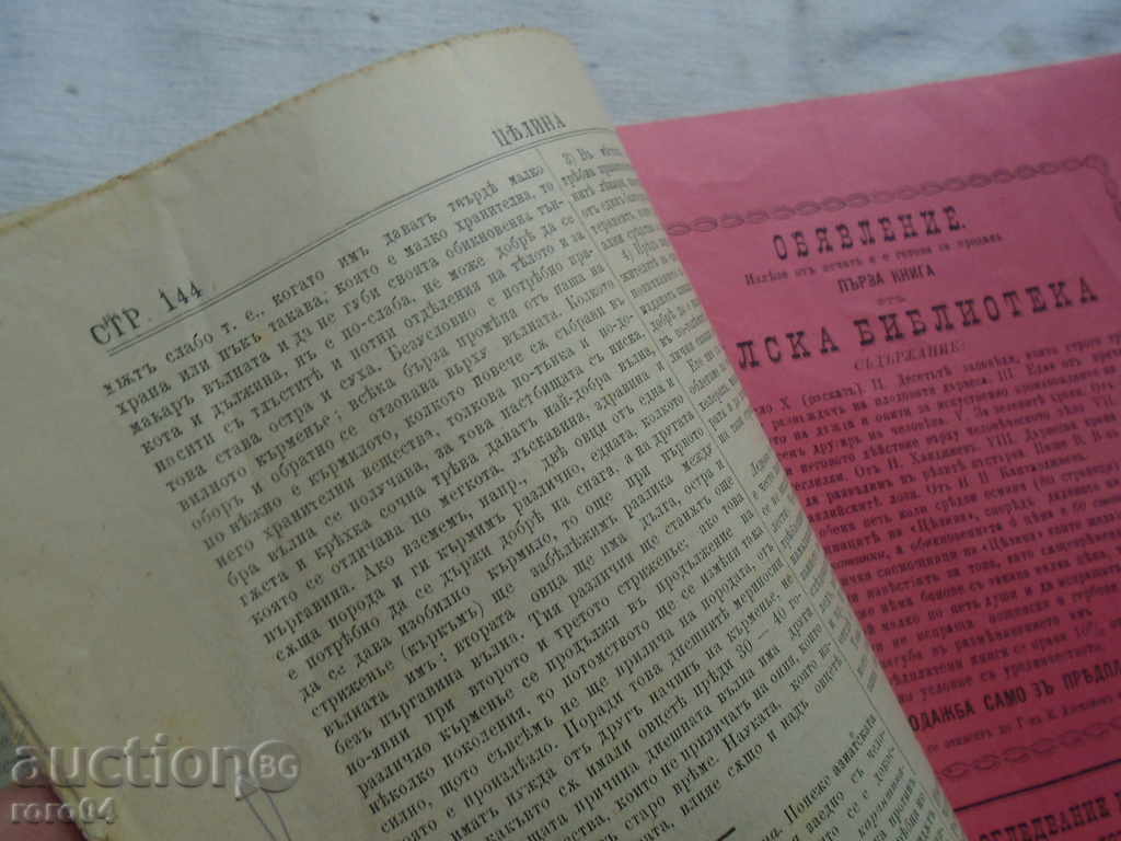 MAGAZINE "CELINA" YEAR I BOOK IX - 1892 - 6 MAGAZINE "CELINA" YEAR I BOOK IX - 1892 - 6