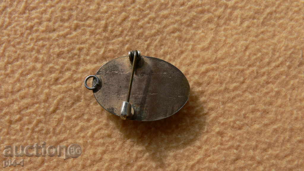 brosa veche pandantiv cu camee cu preț 20.00 BGN | € 10.23