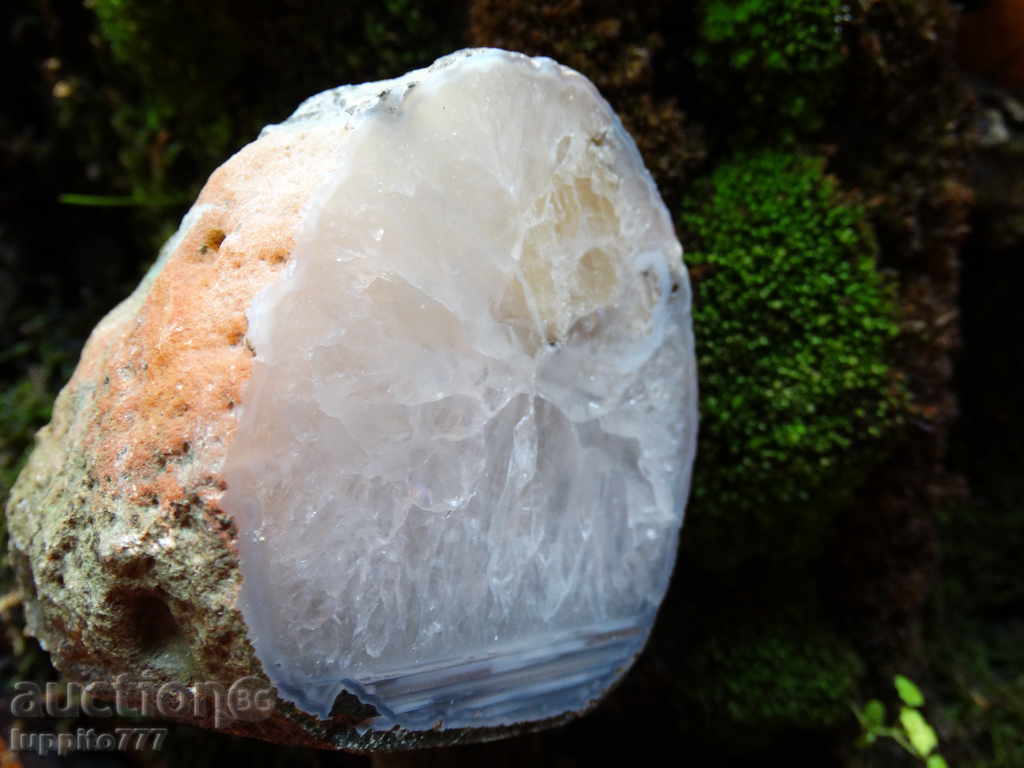 ахат с цена 69.00 лв. | € 35.28 ахат с цена 69.00 лв. | € 35.28