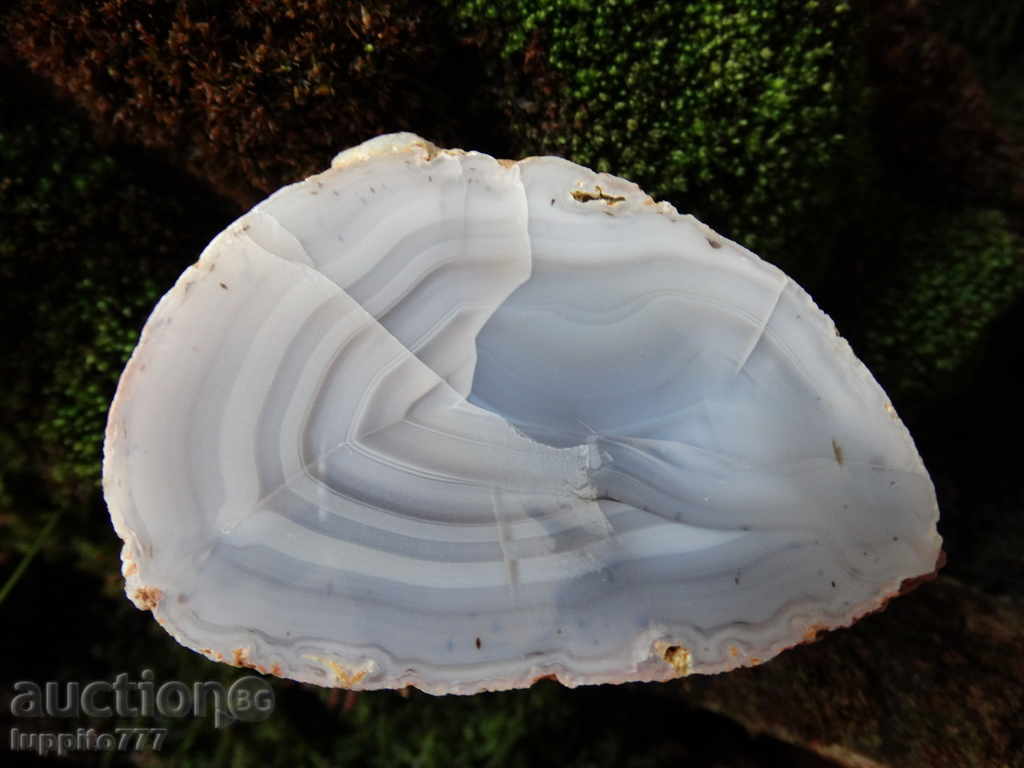 agate with price 55.00 BGN | € 28.12 agate with price 55.00 BGN | € 28.12