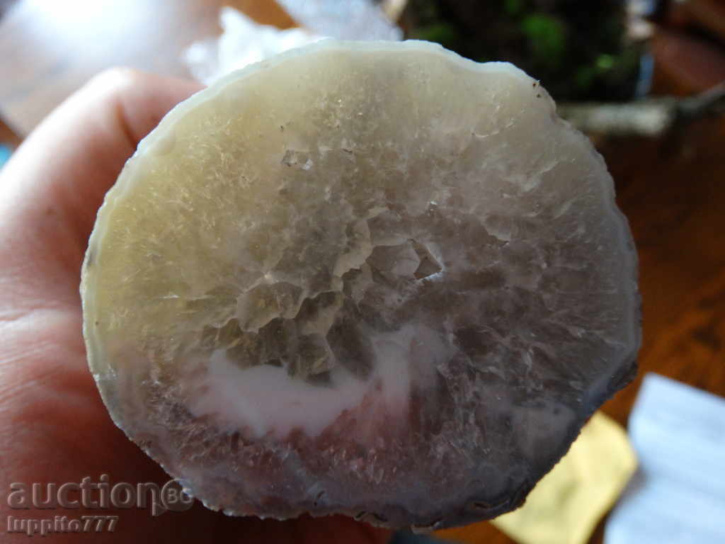 agate with price 55.00 BGN | € 28.12 agate with price 55.00 BGN | € 28.12