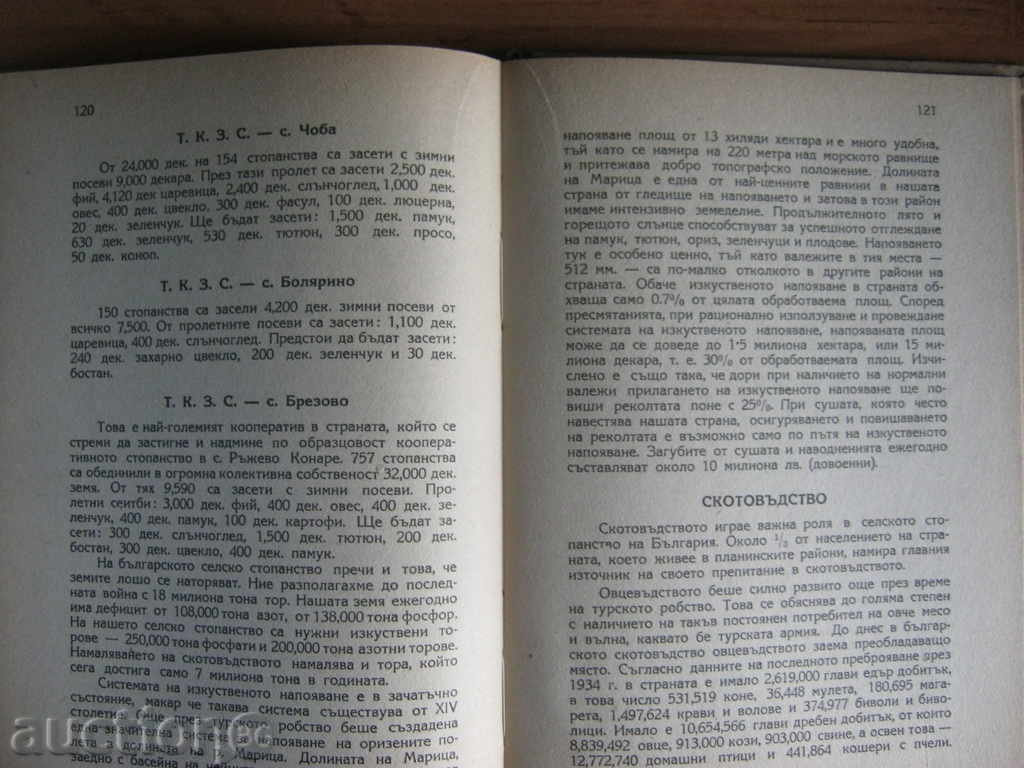 Auction  Geography: A Short Essay in Economic Geography