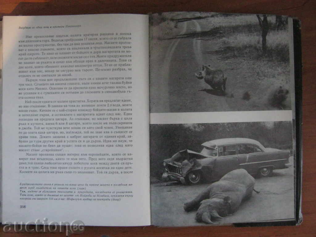 Delivery of Gimek. Serengetes should not perish Delivery of Gimek. Serengetes should not perish