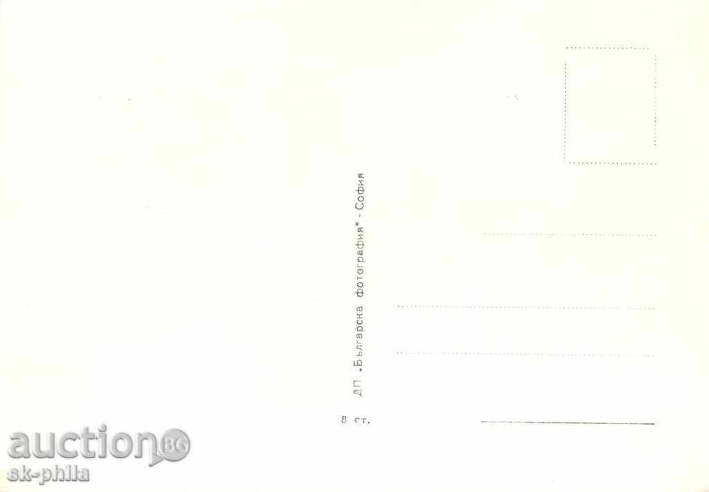 Old postcard Artists - Emilia Radeva with price 1.20 BGN | € 0.61 Old postcard Artists - Emilia Radeva with price 1.20 BGN | € 0.61