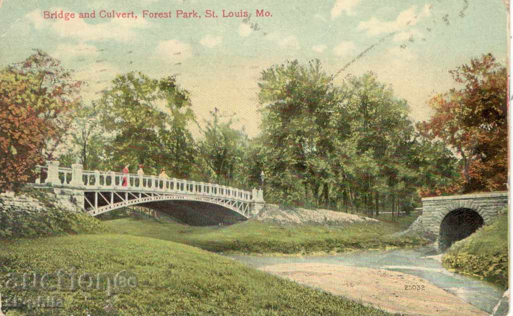 Antique postcard USA - Saint Louis, park and bridge