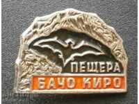 Vechi insignă - Bacho Kiro Cave