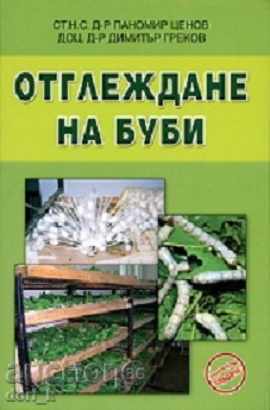 creșterea viermilor de mătase creșterea viermilor de mătase