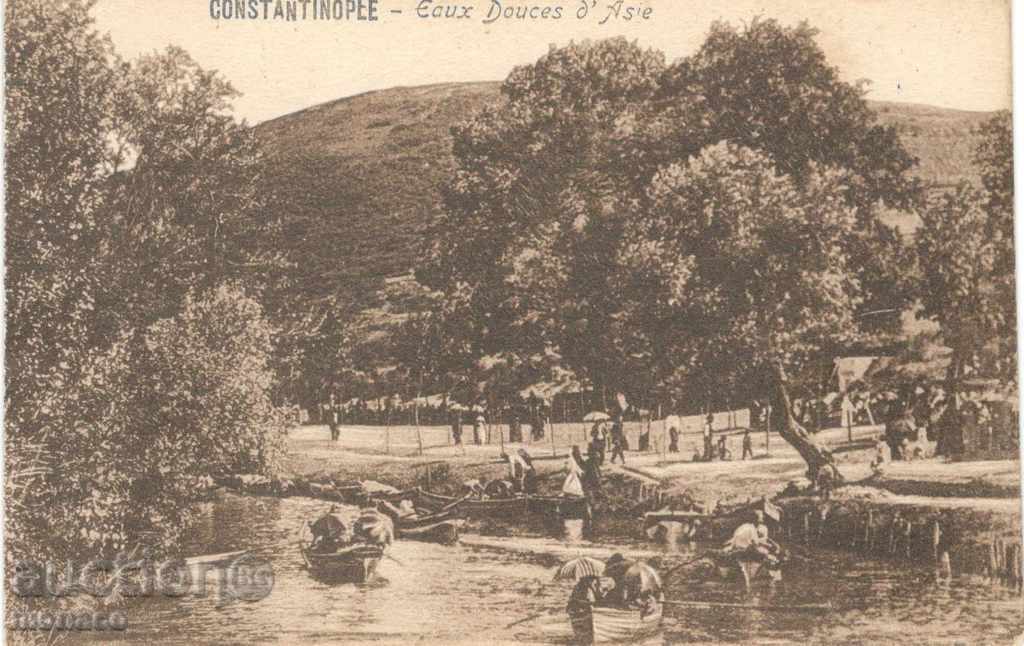 Antique postcard - Constantinople, outskirts