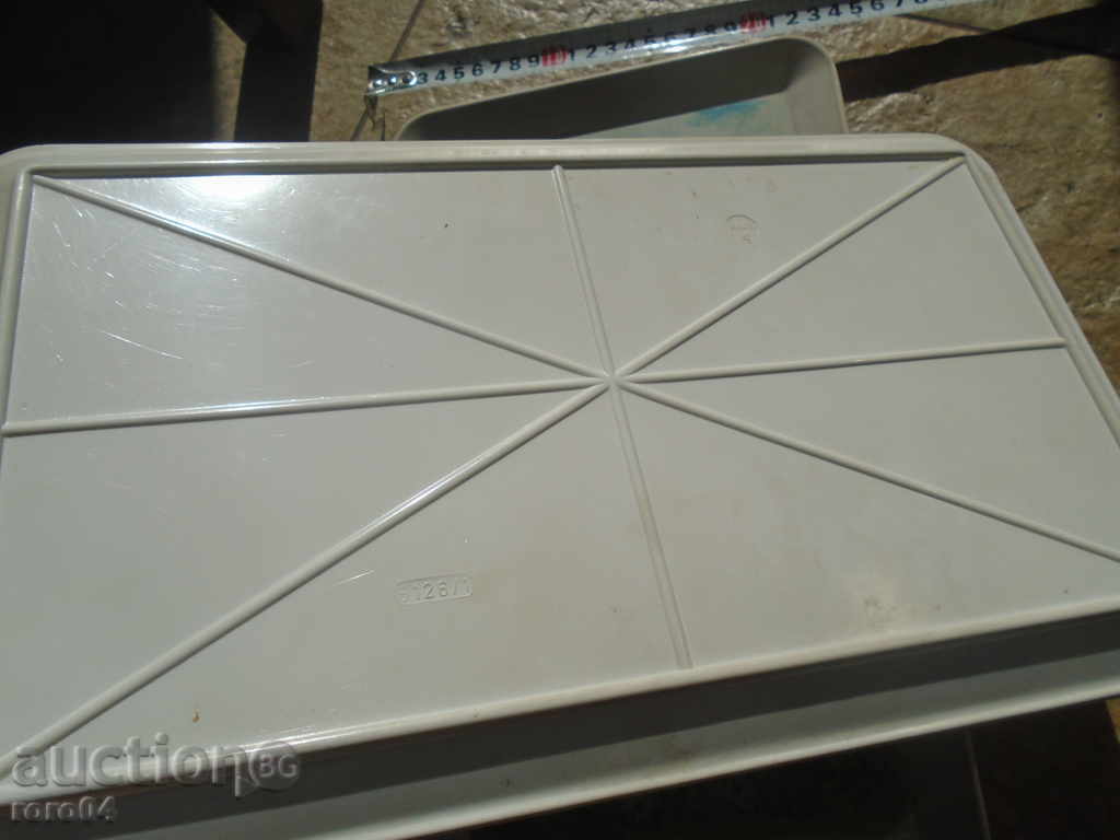 PAINTED TRAY - AUTHOR ELI GOYNAROVA - 5 PAINTED TRAY - AUTHOR ELI GOYNAROVA - 5