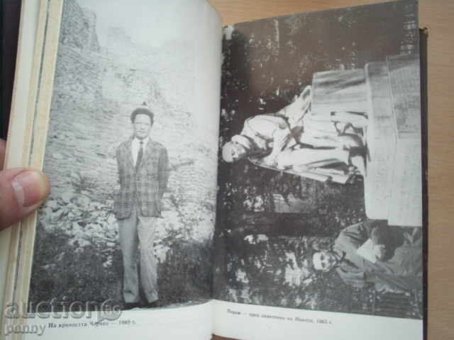 DAY AFTER DAY, HISTORY HISTORY-HOPE STANEVA - 7