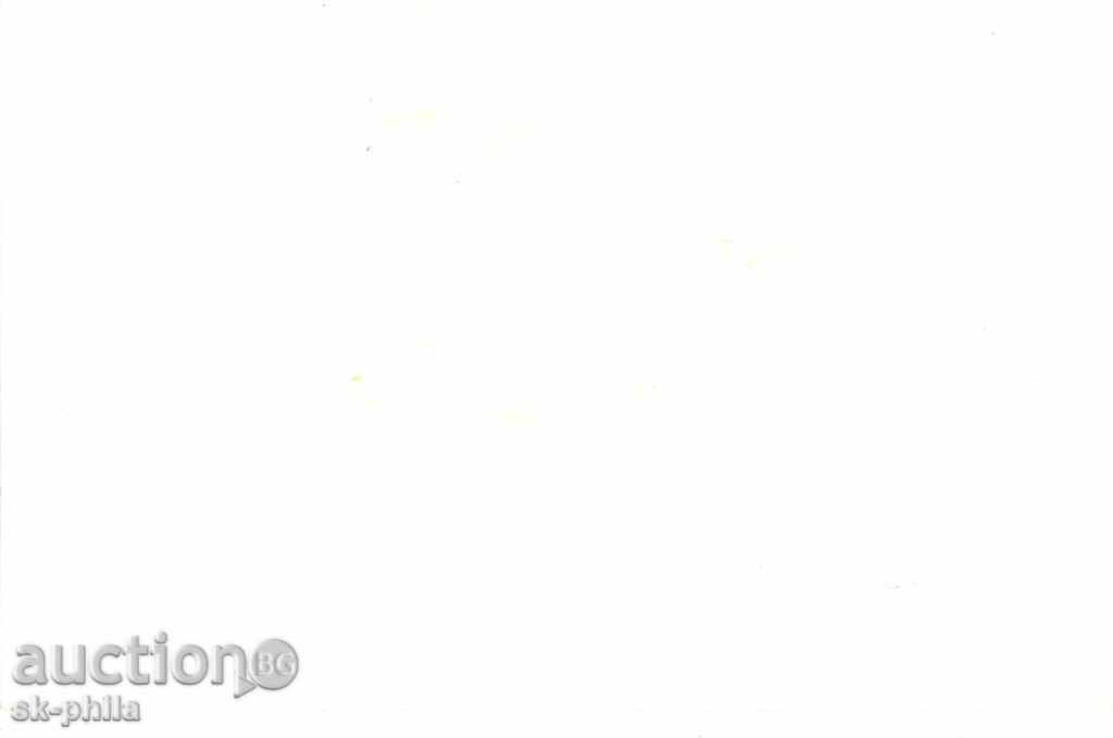 Old postcard artists - Eva Khishevska with price 1.10 BGN | € 0.56 Old postcard artists - Eva Khishevska with price 1.10 BGN | € 0.56