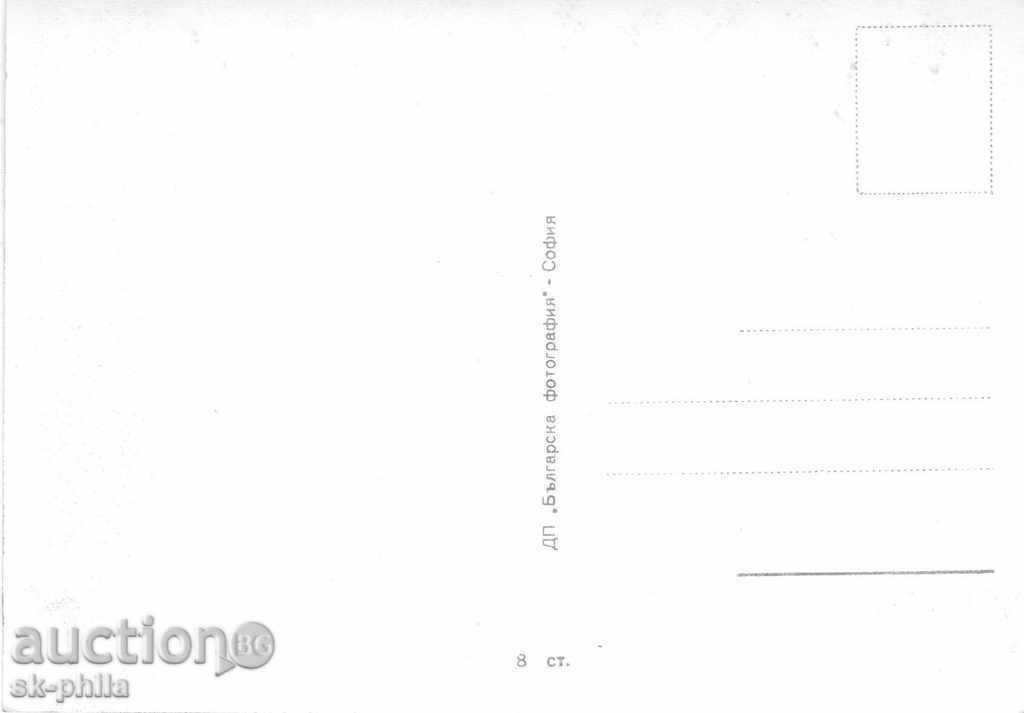 Old postcard artists - Maria Shell with price 1.20 BGN | € 0.61 Old postcard artists - Maria Shell with price 1.20 BGN | € 0.61