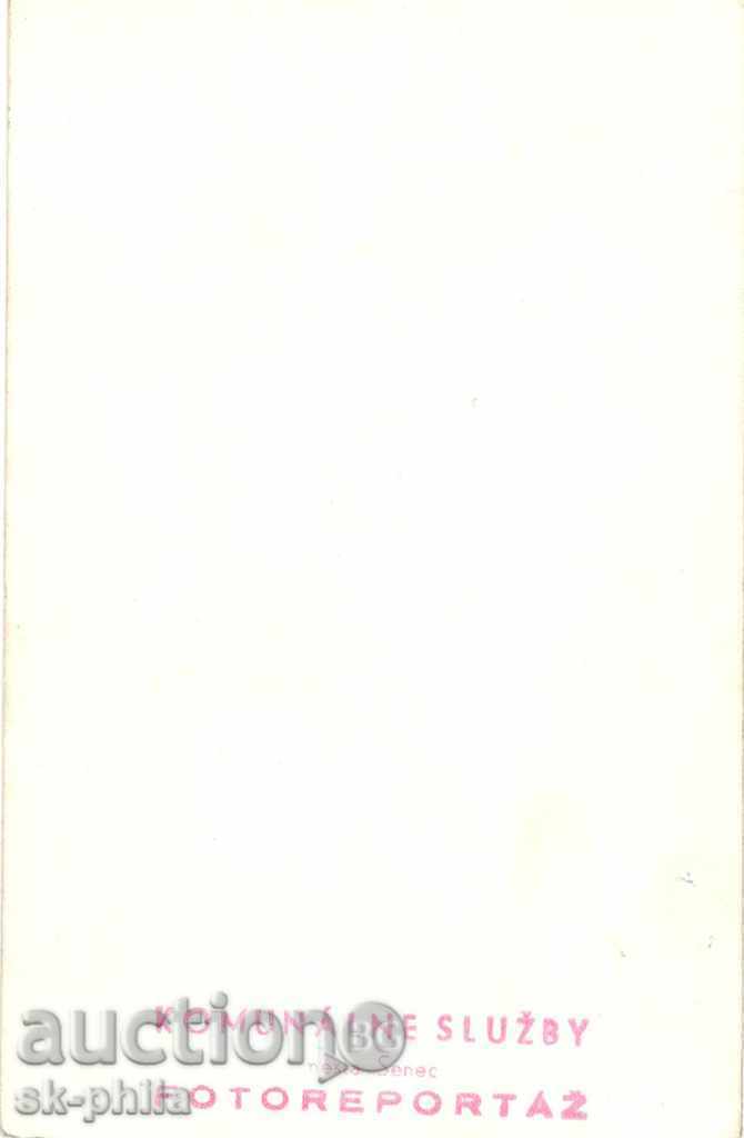 Old postcard artists - Yaroslava Panirkova with price 1.00 BGN | € 0.51 Old postcard artists - Yaroslava Panirkova with price 1.00 BGN | € 0.51