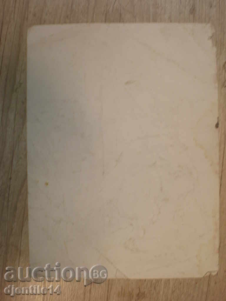 Аукцион картина- туш Аукцион картина- туш