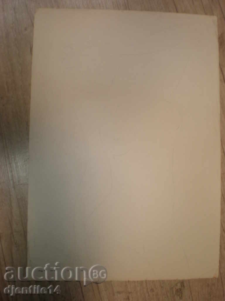 Auction  ink painting