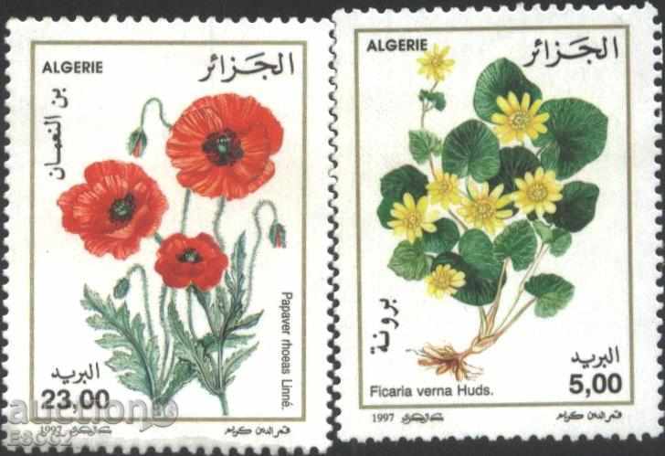 Καθαρό Μάρκες Χλωρίδα Λουλούδια του 1997 από την Αλγερία