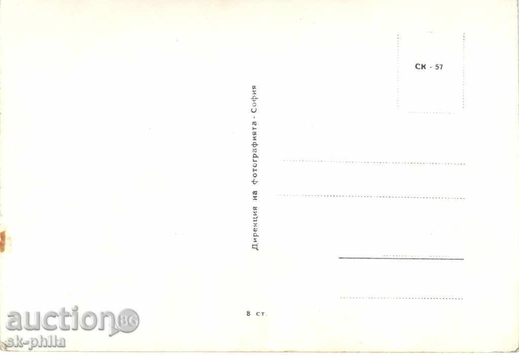 Old postcard artists - Tatiana Konjukova with price 1.00 BGN | € 0.51 Old postcard artists - Tatiana Konjukova with price 1.00 BGN | € 0.51