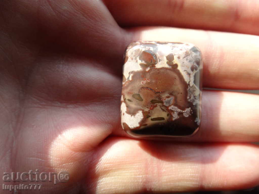 Auction jasper Auction jasper
