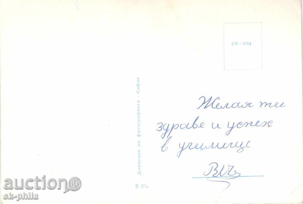 Old postcard artists - Isolda Excited with price 0.90 BGN | € 0.46 Old postcard artists - Isolda Excited with price 0.90 BGN | € 0.46