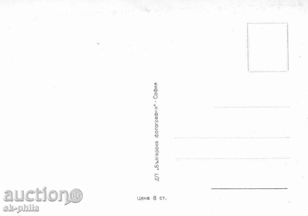 Old postcard artists - Maria Felix with price 1.20 BGN | € 0.61 Old postcard artists - Maria Felix with price 1.20 BGN | € 0.61