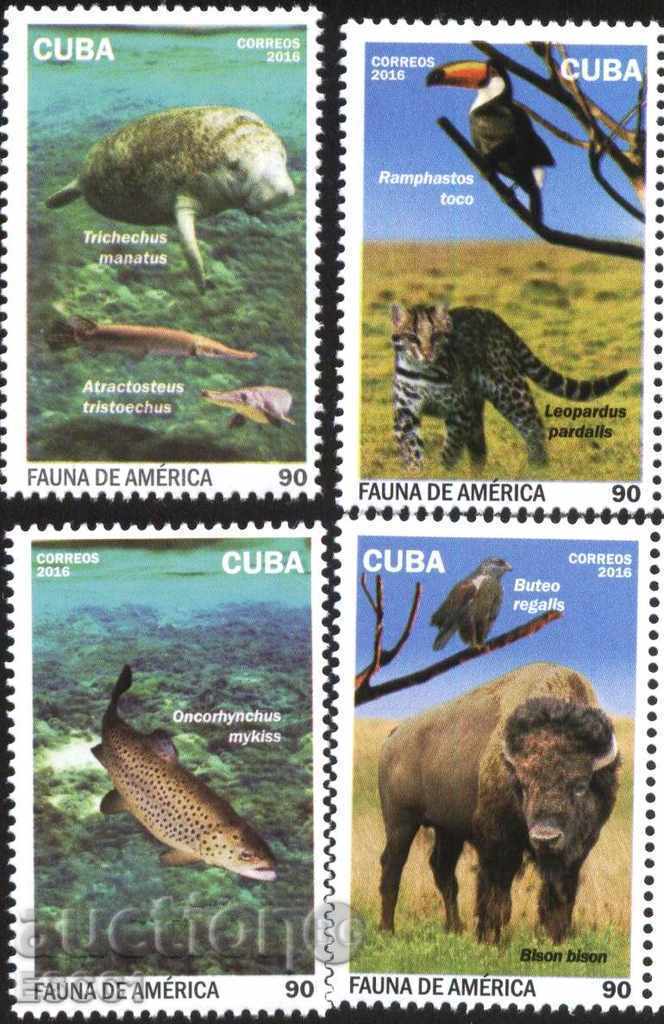Pure Brands Fauna from America 2016 Cuba with price 11.50 BGN | € 5.88