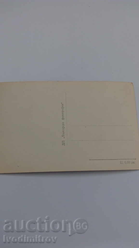 Postcard Panagyurishte View from the Columns with price 1.25 BGN | € 0.64 Postcard Panagyurishte View from the Columns with price 1.25 BGN | € 0.64