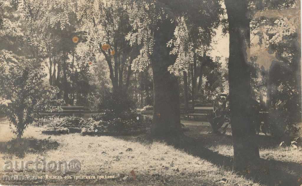 Стара пощенска картичка - Хасково, градска градина