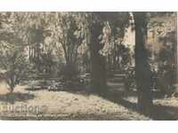 Old postcard - Haskovo, town garden