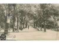 Antique postcard - Haskovo, the city garden