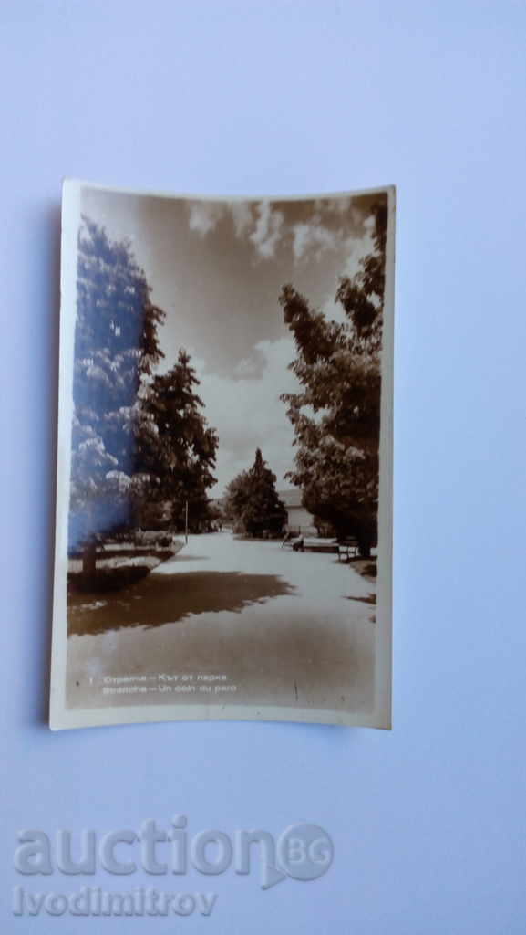 Пощенска картичка Стрелча Кът от парка