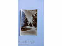 Καρτ ποστάλ Strelcha γωνιά του πάρκου