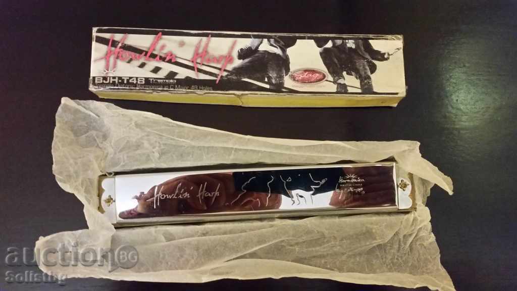 Licitație Muzicuţă. Licitație Muzicuţă.