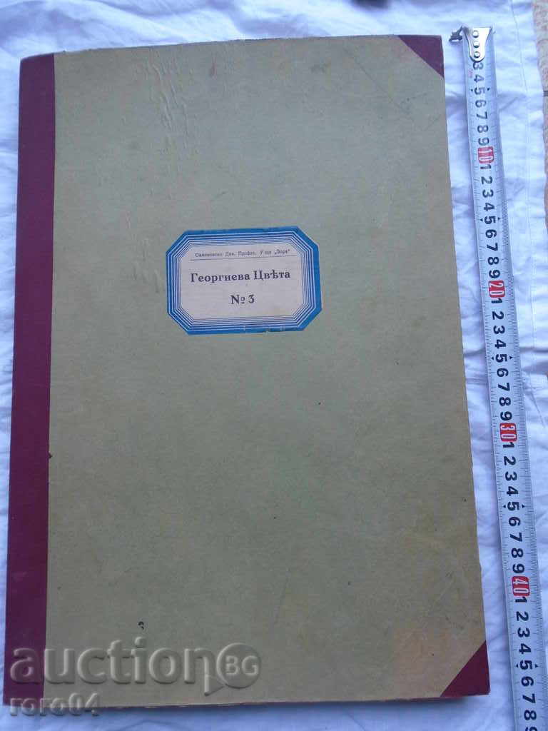 ALBUM VECHI IMENS CU TĂIERI VOPSITE MANUAL