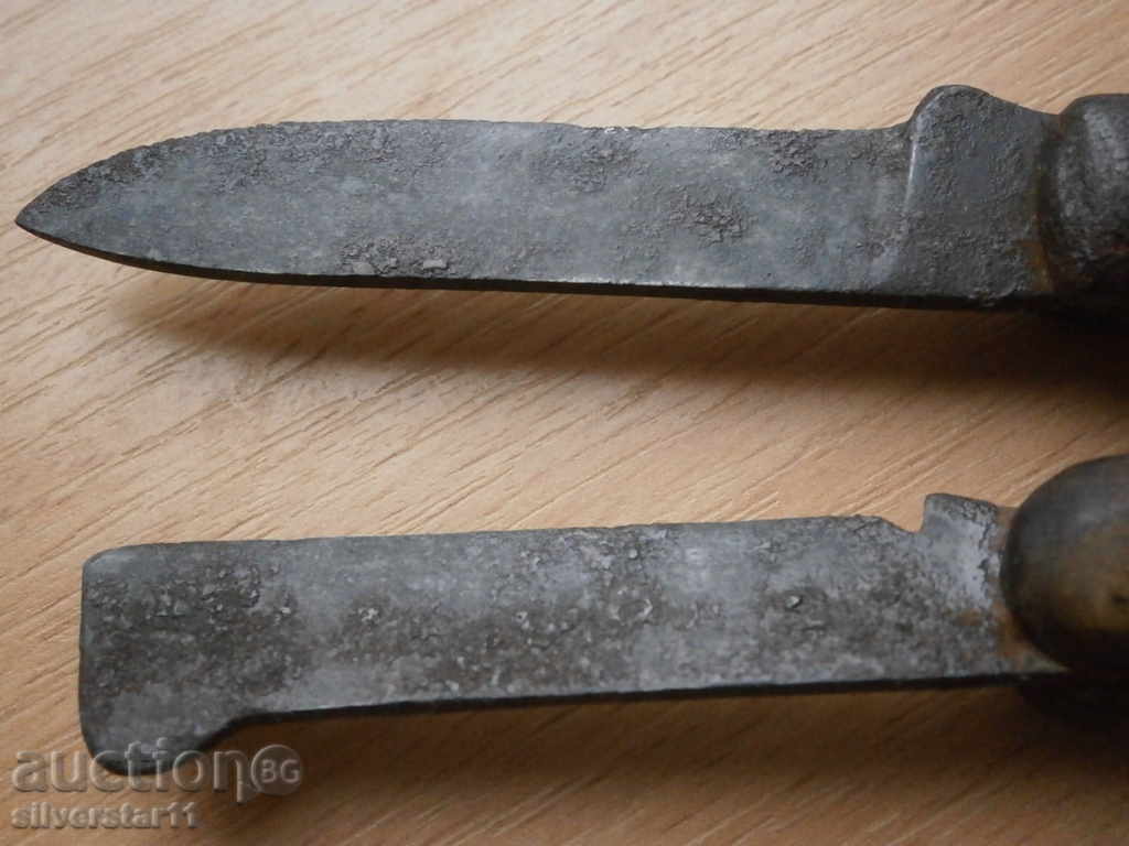 Delivery of lot of legs for cooling making cuttings gardening Delivery of lot of legs for cooling making cuttings gardening