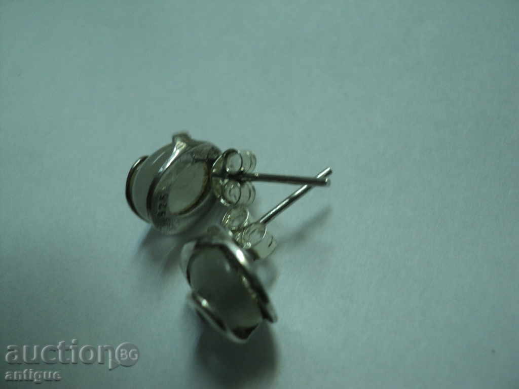 Delivery of BEAUTIFUL STYLE SILVER SHIRTS-2 Delivery of BEAUTIFUL STYLE SILVER SHIRTS-2