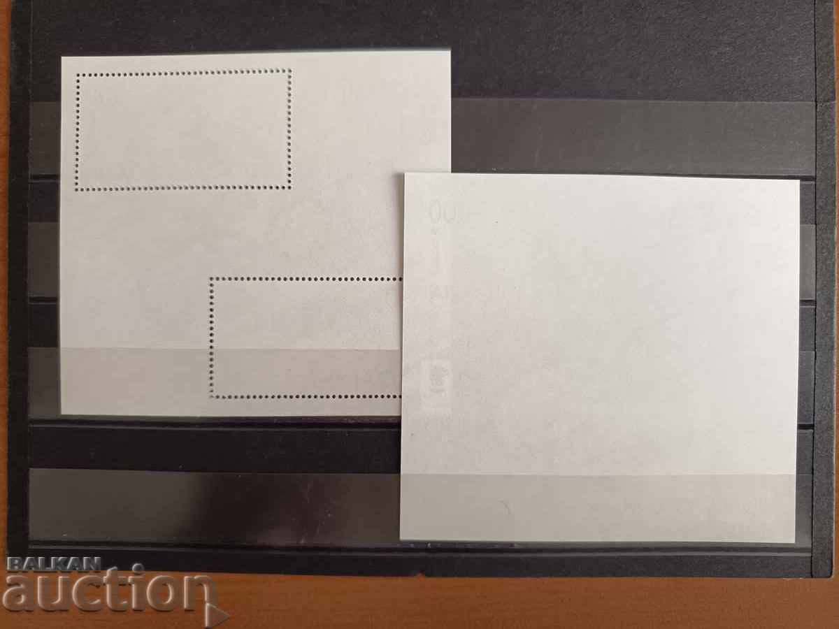 Auction  Souvenir Block "Winter Olympic Games" from 2010 No. 4919