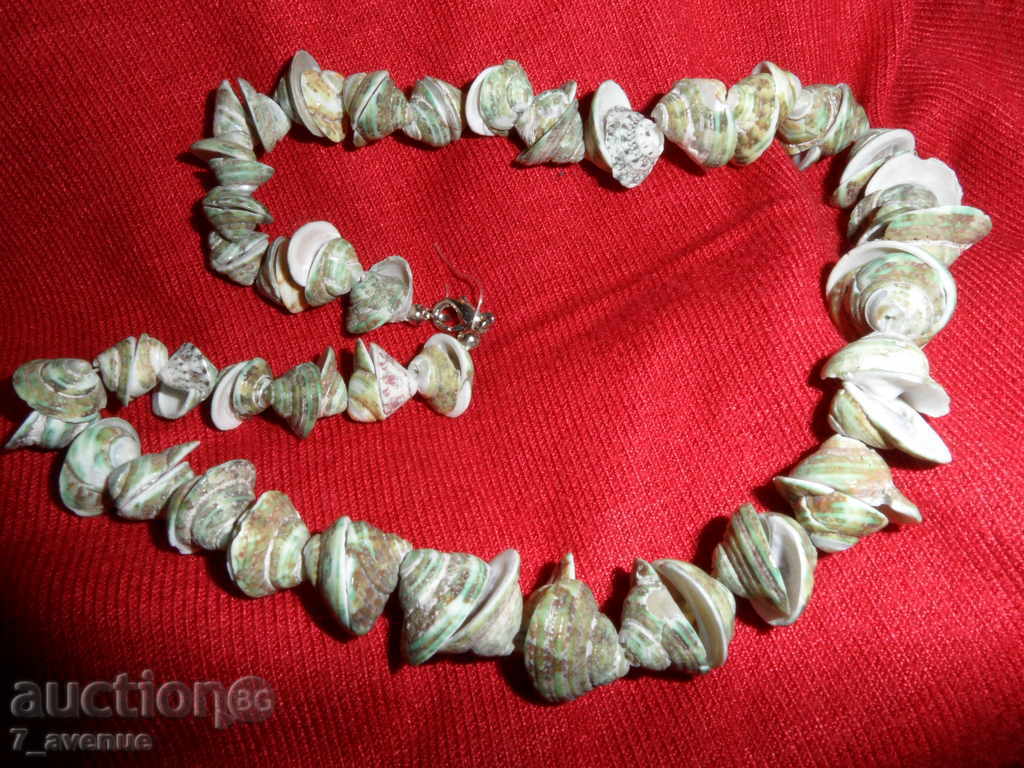 COOL with seafood 42 cm with price 1.99 BGN | € 1.02