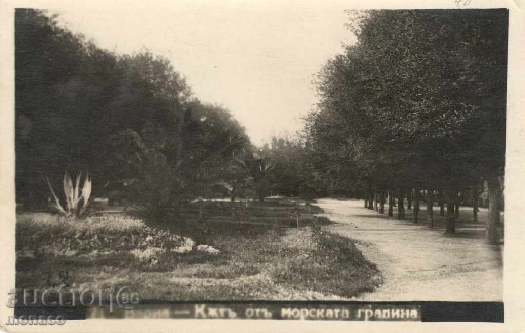 Old postcard - Varna, the sea garden