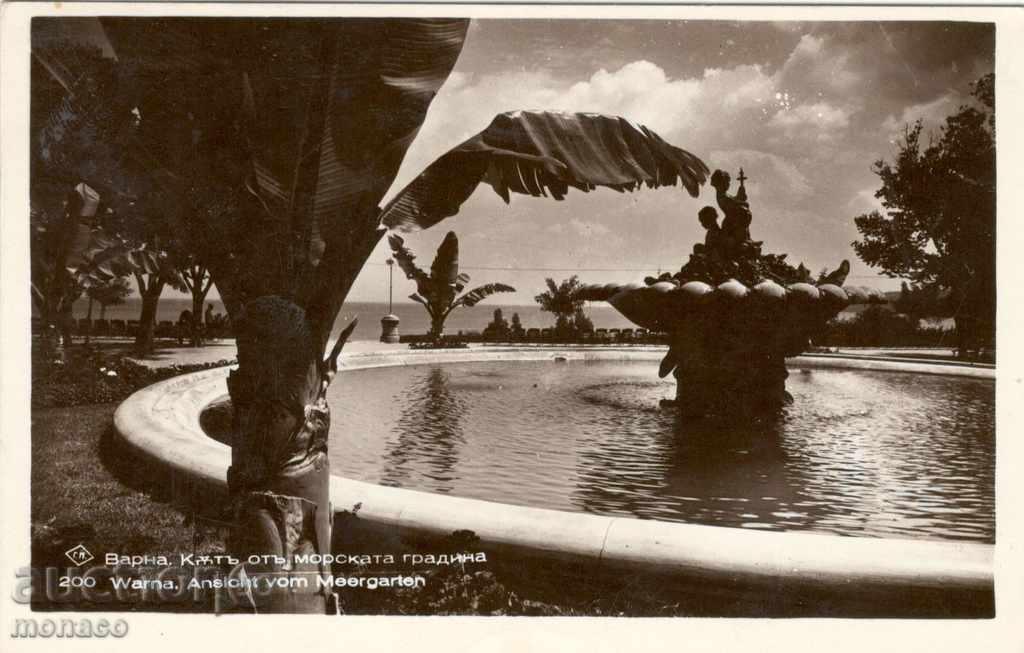 Παλιά καρτ-ποστάλ - Βάρνα Sea Garden Kata OTA
