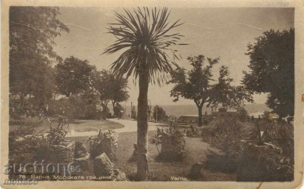 Παλιά καρτ-ποστάλ - Βάρνα Sea Garden
