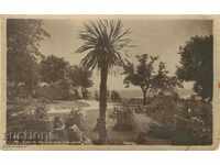 Old postcard - Varna, the sea garden