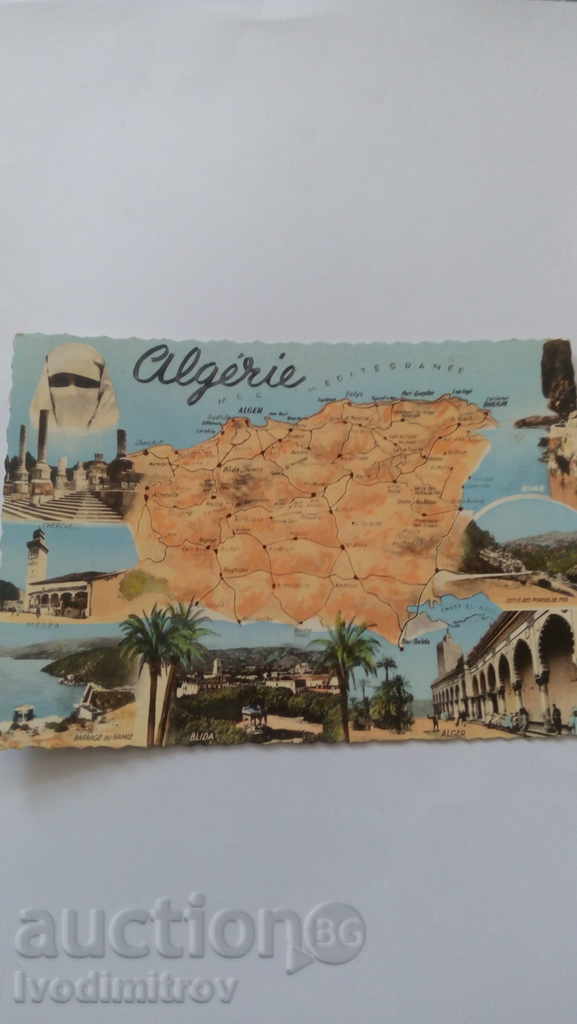 Carte poștală Algerie