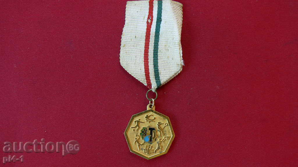 MEDAL FOR MIXED SPORTS GOLD