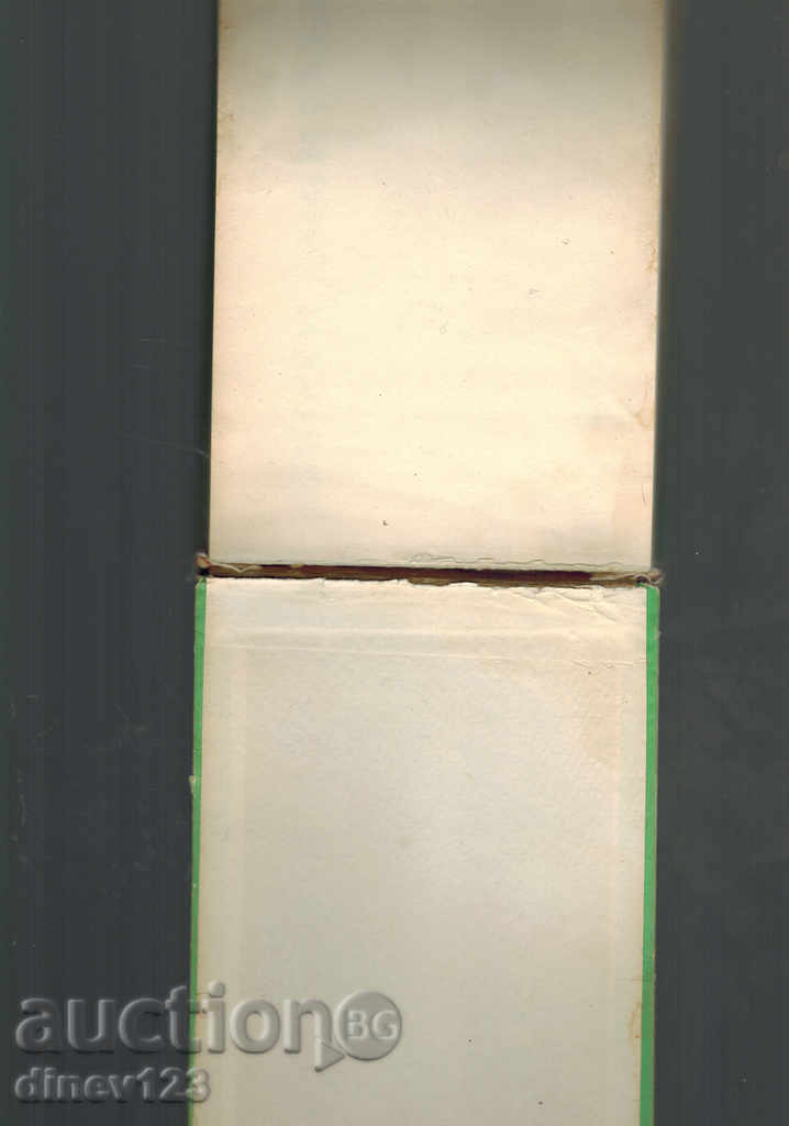 Delivery of WILD GROWING MUSHROOMS - N. KOLEV Delivery of WILD GROWING MUSHROOMS - N. KOLEV