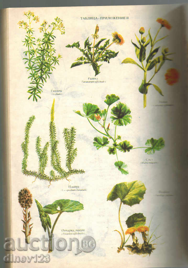 Delivery of THE TREATMENT OF NATURE - FRITS GEEGGER Delivery of THE TREATMENT OF NATURE - FRITS GEEGGER