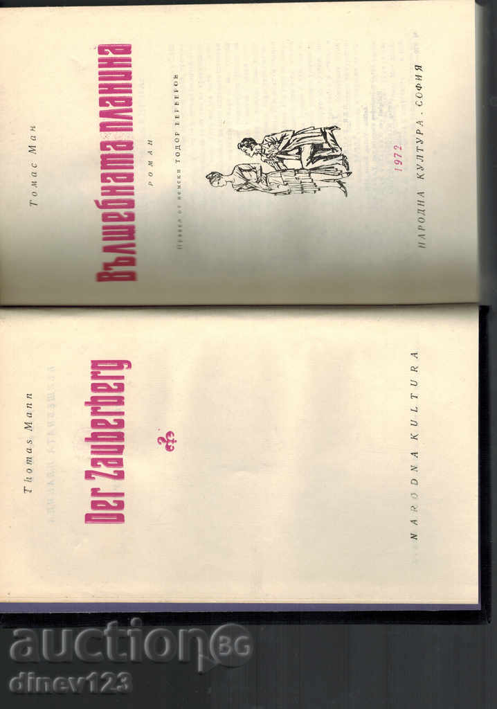 Auction  MOUNTAIN MOUNTAIN - THOMAS MAN