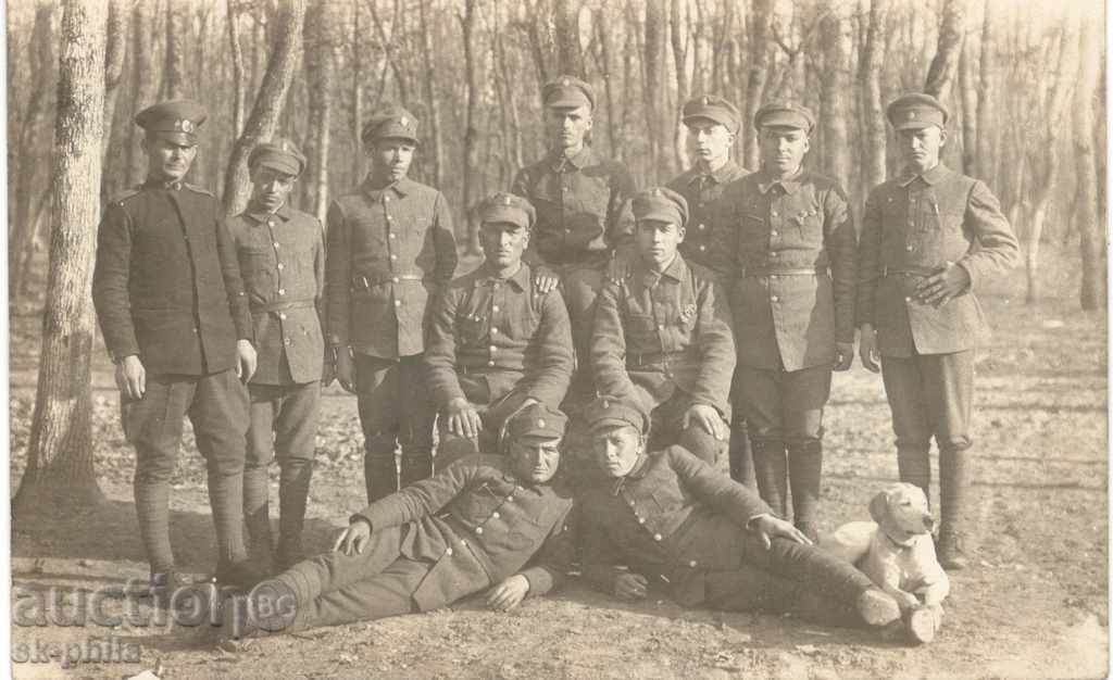 Παλιά φωτογραφία - Στρατιώτες στο δάσος