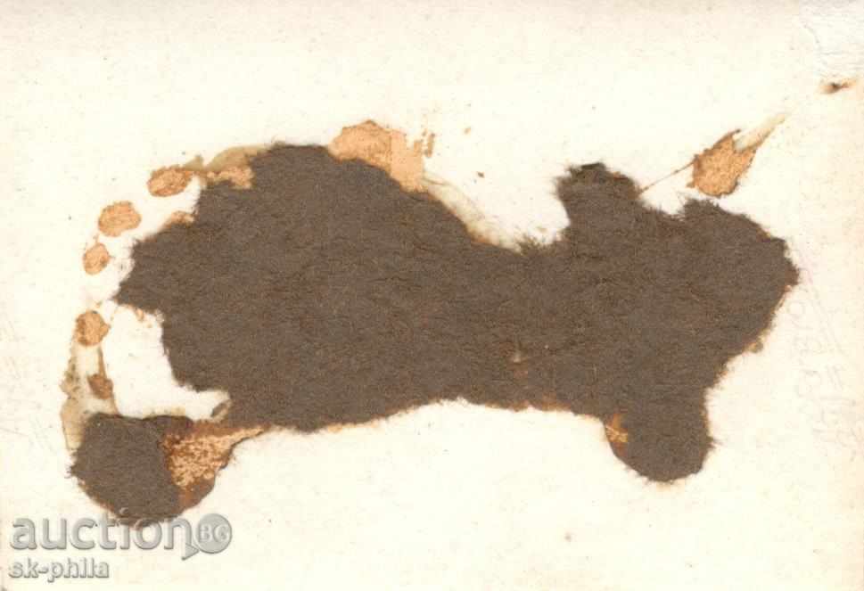 Old Picture - Cavalrymen with price 1.00 BGN | € 0.51