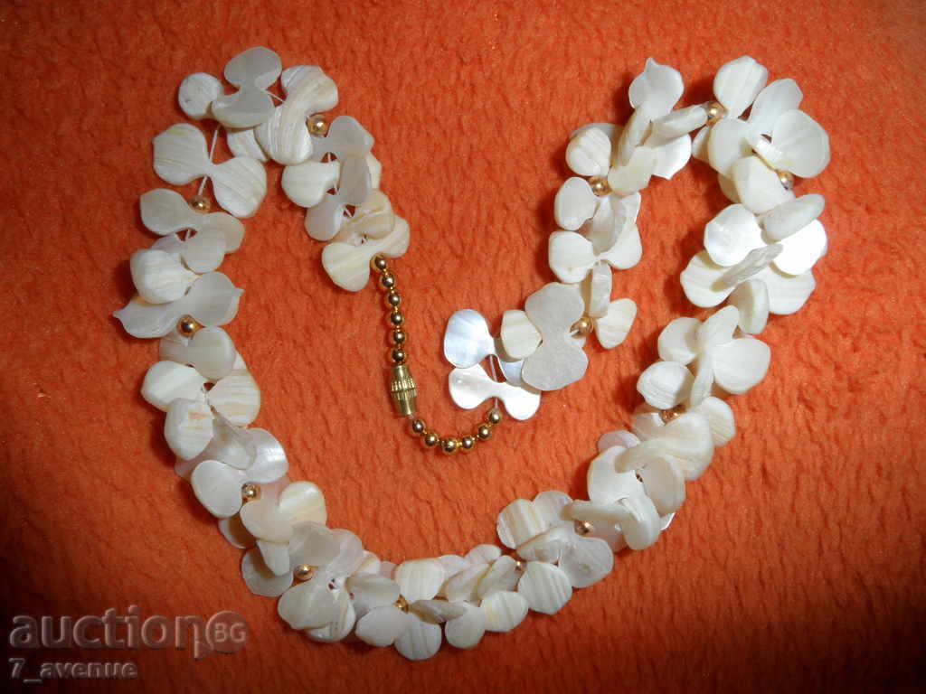 COFFEE SEDEF-EXOTIC 40 / 2cm Wonderful! with price 99.00 BGN | € 50.62 COFFEE SEDEF-EXOTIC 40 / 2cm Wonderful! with price 99.00 BGN | € 50.62